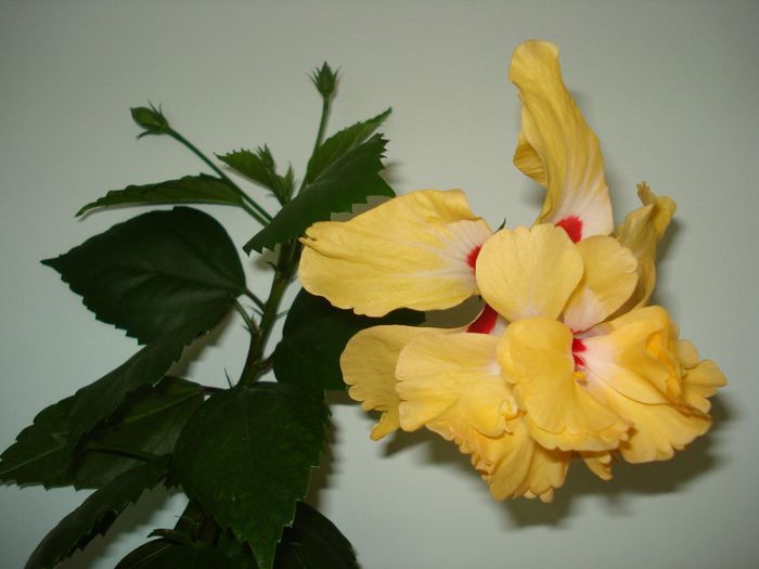 DSC09011
