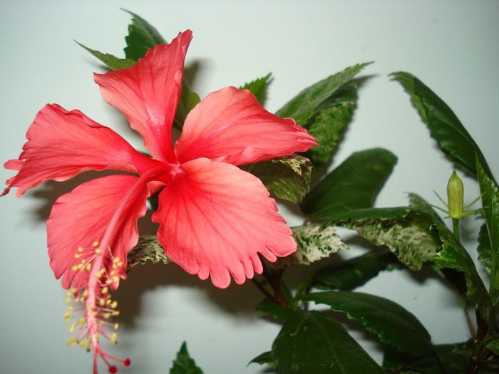 DSC09008