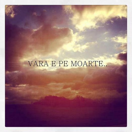 1098329_467353846697199_157352993_n - Aa daa salut de bun venit-- Heiiii