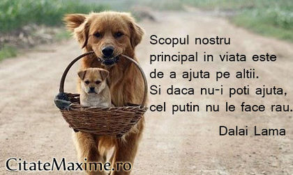 Scopul-nostru-principal-in-viata-este-de-a-ajuta-pe-altii.-Si-daca-nu-i-poti-ajuta-cel-putin-nu-le-f
