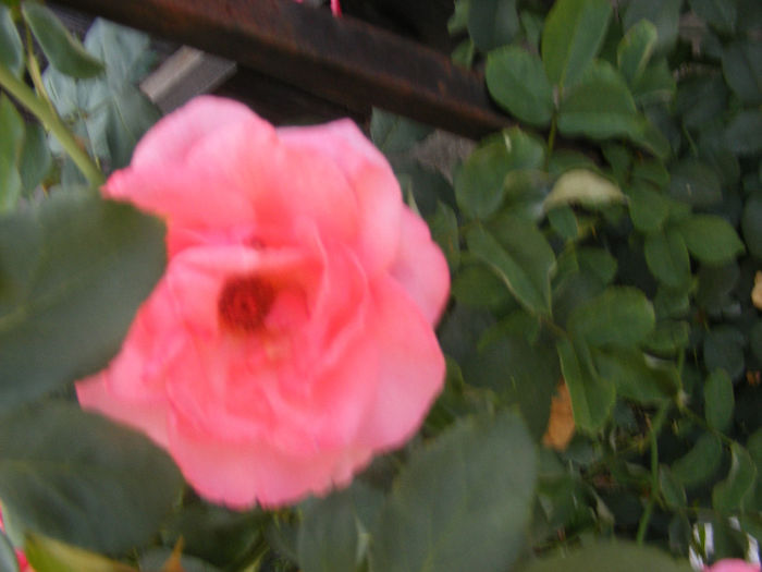 DSCF0092