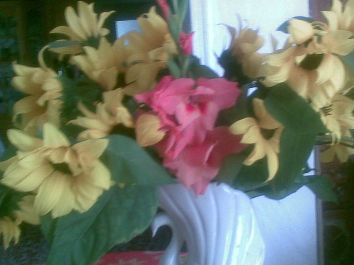 20082013 - florile mele