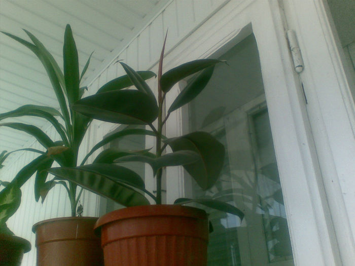 20082013(005)