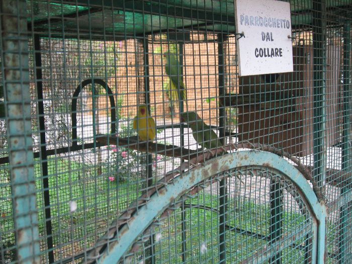 IMG_0618 - Romagnioli si Sottobanca