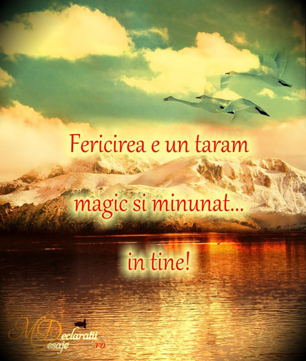 declaratii_de_dragoste_fericirea_un_taram_minunat_in_tine - xo_Texte Statusuri Avatare_xo