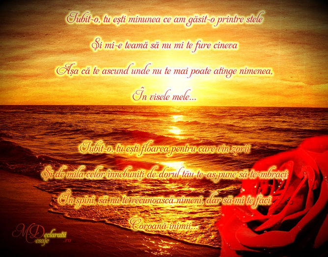 iubit-o_steaua_si_floarea_mea - xo_Texte Statusuri Avatare_xo