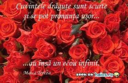 image - xo_Texte Statusuri Avatare_xo