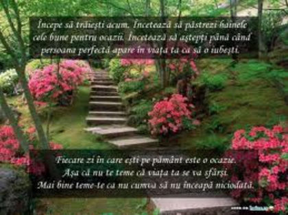 index - xo_Texte Statusuri Avatare_xo
