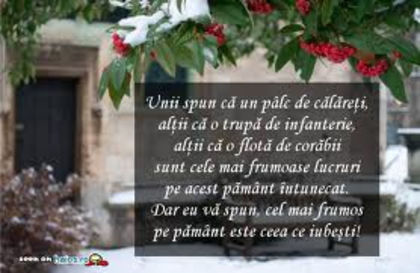images - xo_Texte Statusuri Avatare_xo