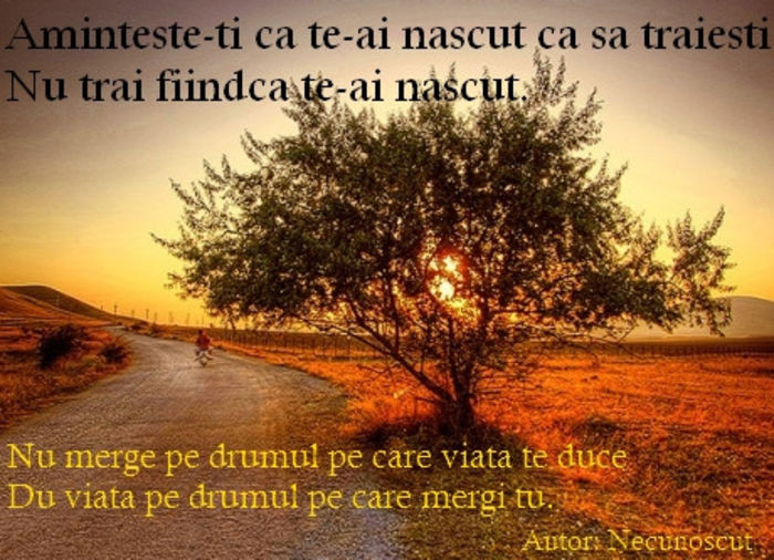 picatura de zen - xo_Texte Statusuri Avatare_xo