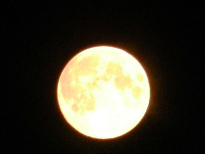 DSCN9891 august 20 2013