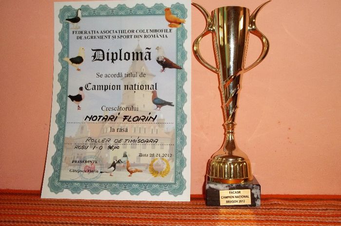100_1197 - Cupe si Diplome