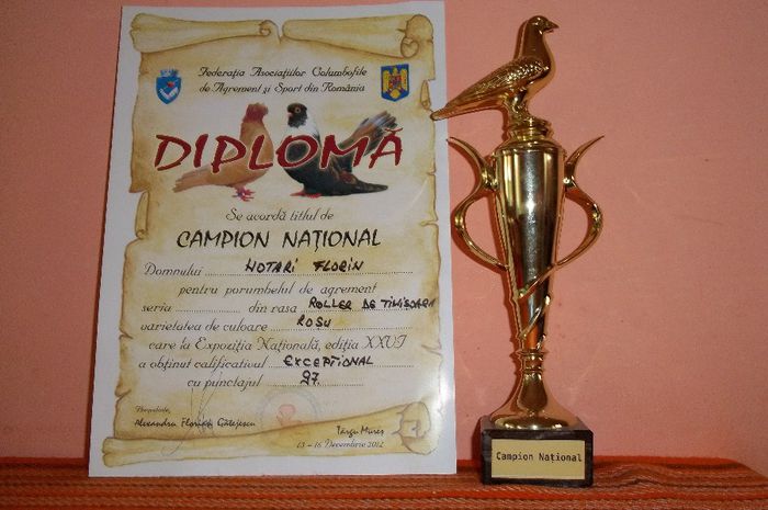 100_1198 - Cupe si Diplome