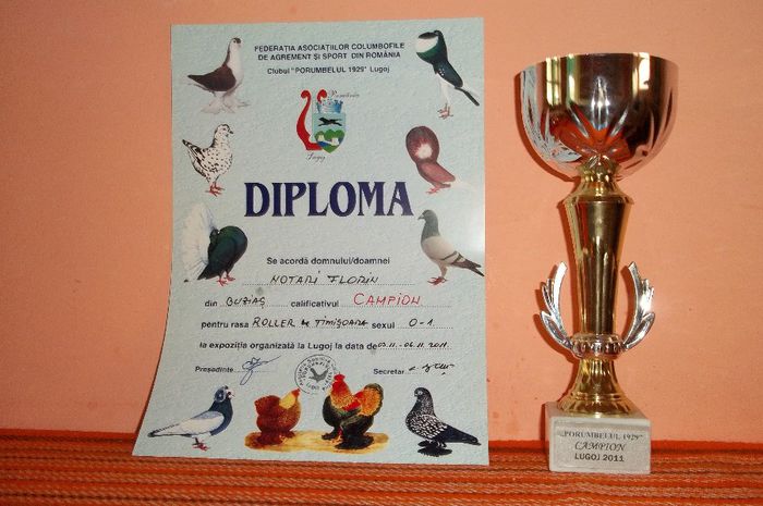 100_1200 - Cupe si Diplome