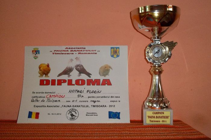 100_1201 - Cupe si Diplome