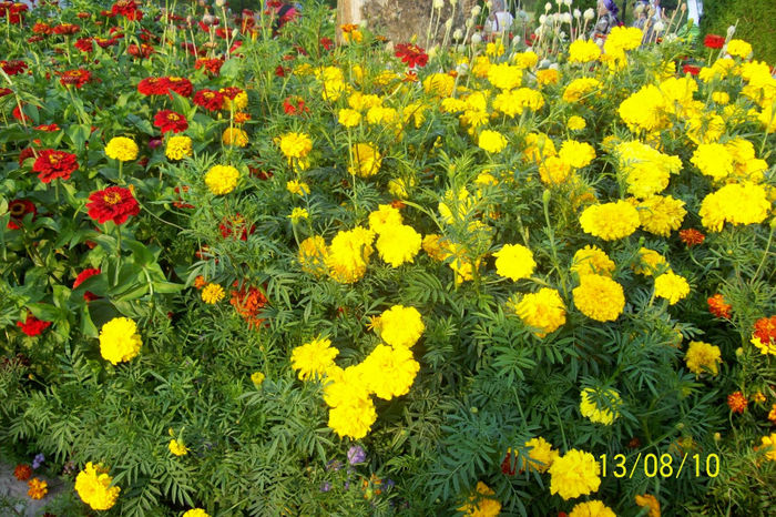 100_0786 - 11 August 2013 din nou la Manastirea Brancoveanu