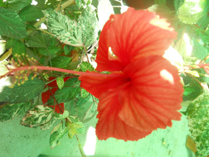DSCN4912