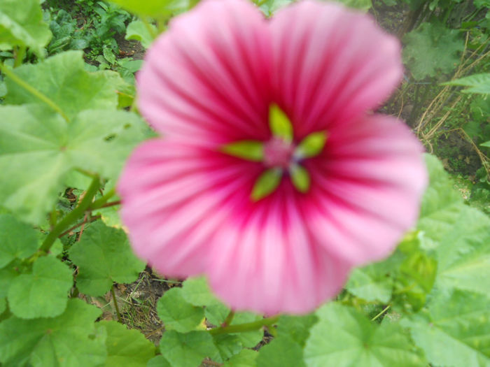DSCN4942
