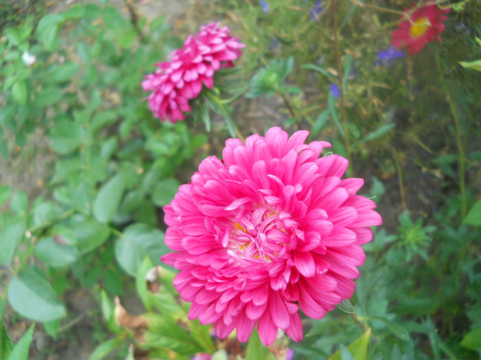 DSCN4947