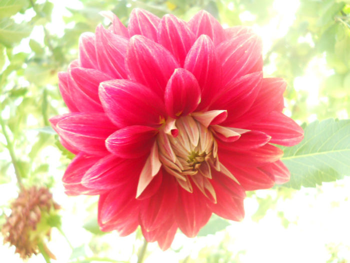 DSCN4957