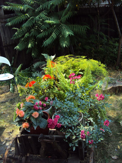 DSC09432