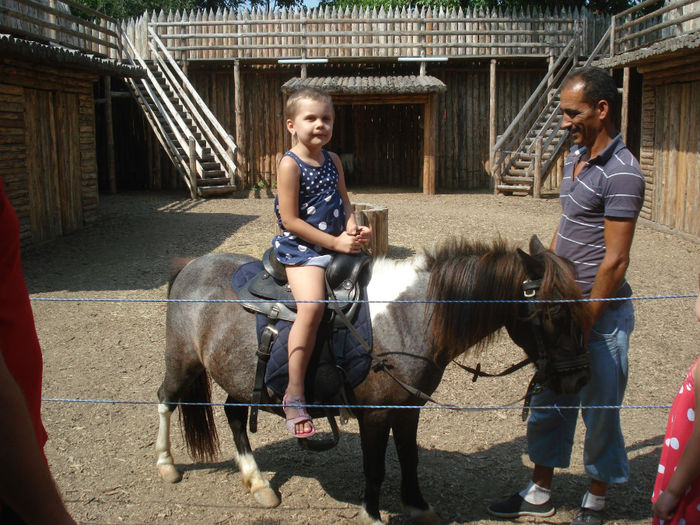 DSC03580 - Vacanta 2013