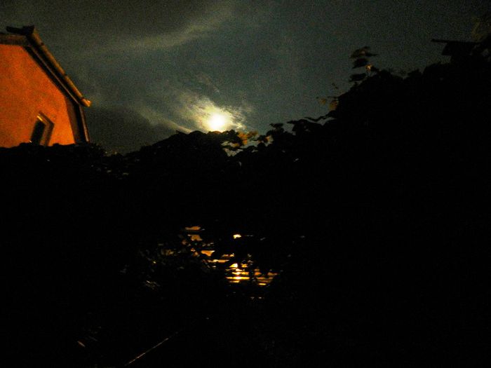 DSCN9932 - AUGUST 2 2013