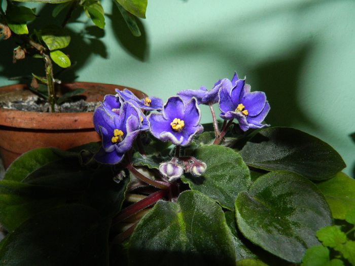 DSCN9978 - AUGUST 2 2013