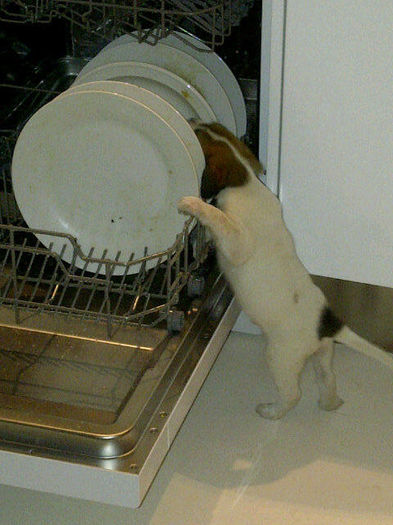 A6LT8OzCYAAUPzn.jpg large