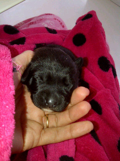 A35KXdlCAAAgxqj.jpg large