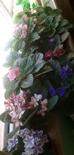 2013-08-22 15.40.50-1