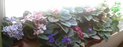 2013-08-22 15.41.03-1