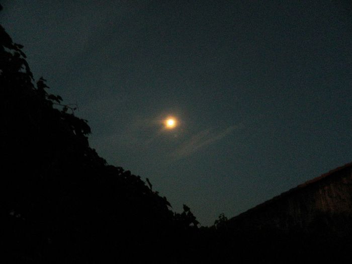 DSCN0140 - AUGUST 2 2013