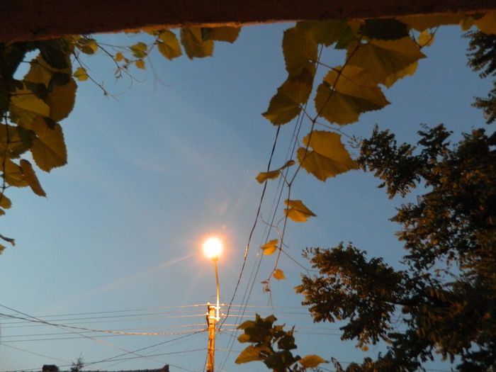 DSCN0197 - AUGUST 2 2013