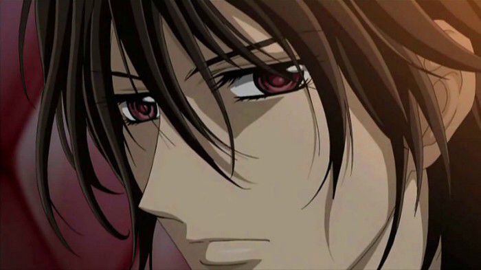 3 - Vampire Knight