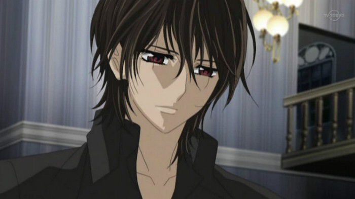 7 - Vampire Knight