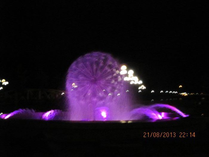IMG_7982 - Festivalul berii