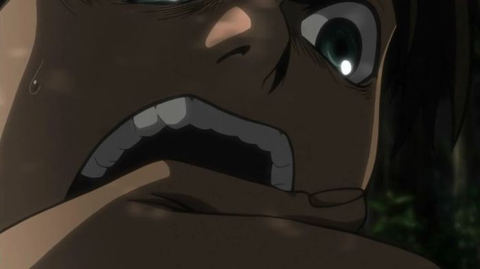 eren 73