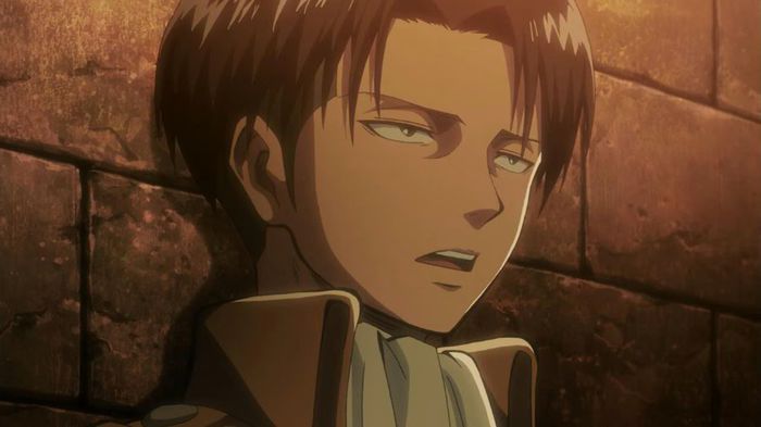 levi 19