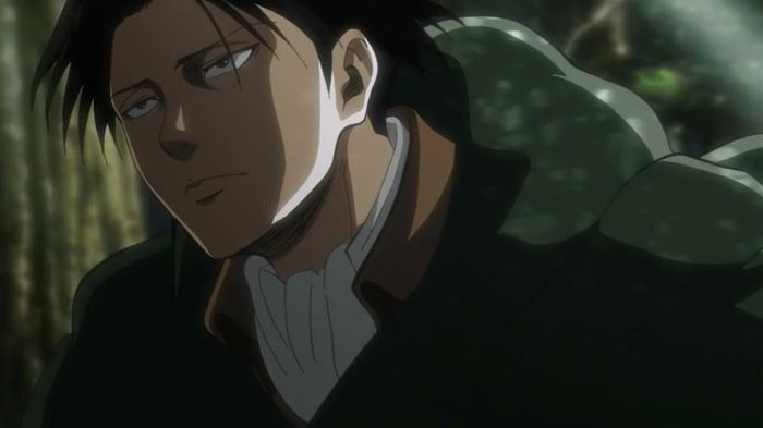 levi 20