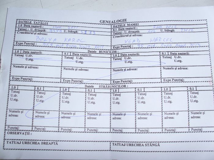 CERTIFICAT - 1 ACHIZITII IEPURI 2013