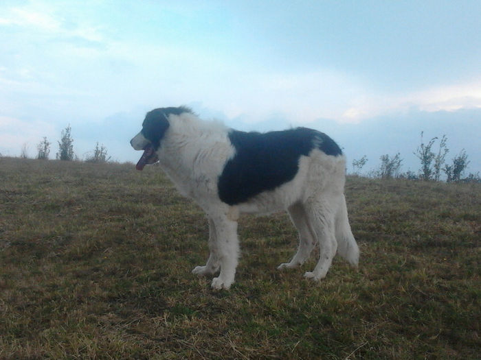 2013-08-23 18.23.13 - Molda