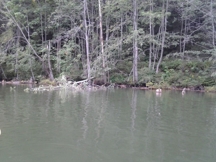 20130801_152947 - 3 zile de respiro