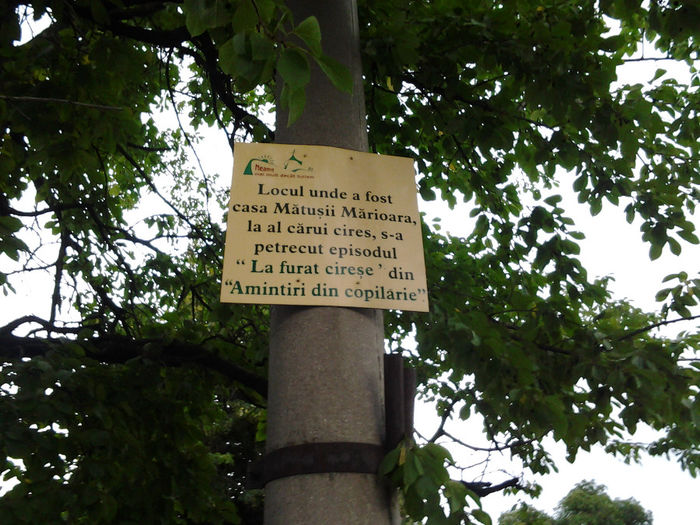 20130801_203433 - 3 zile de respiro