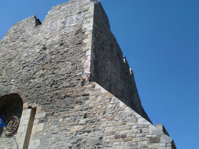20130802_112441 - 3 zile de respiro