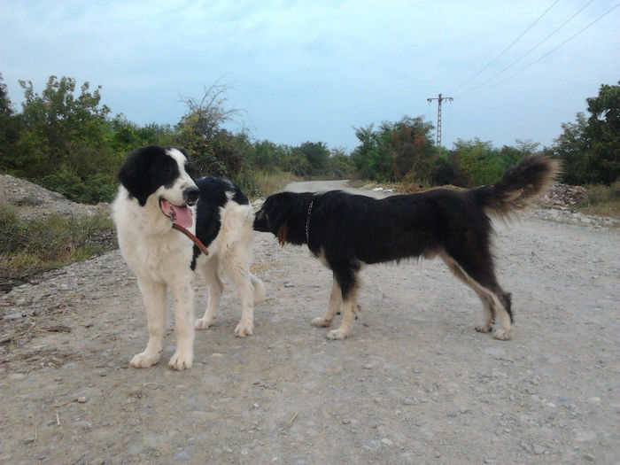 2013-08-24 19.35.57 - Molda