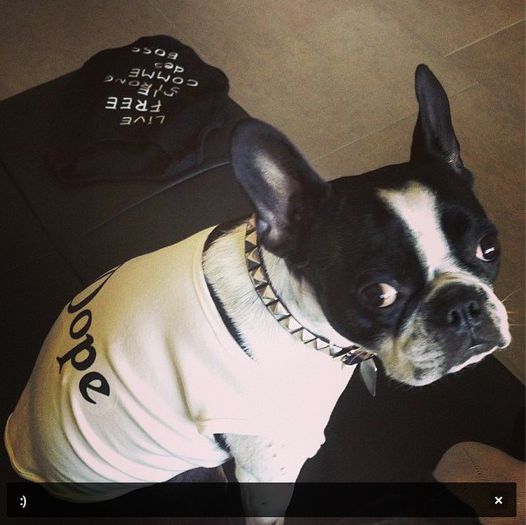 dumnezeu sa il aiba in pace