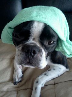 dumnezeu sa-l odihneasca