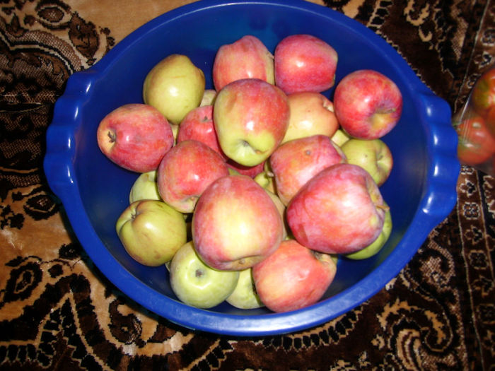 SL276258 - pomi altoiti si fructe