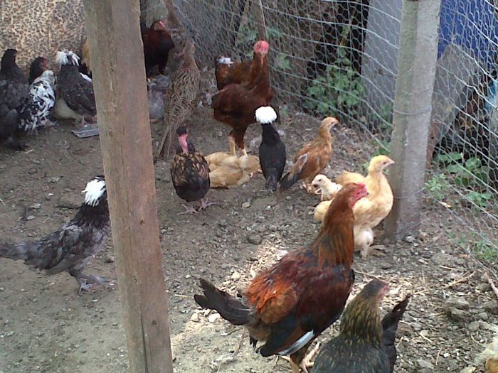 IMG00866-20130825-1445